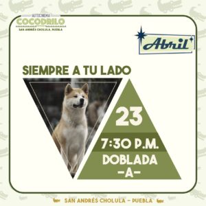 Siempre a tu Lado 23/Abr/26