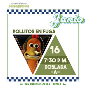 Pollitos en Fuga 16/Jun/26